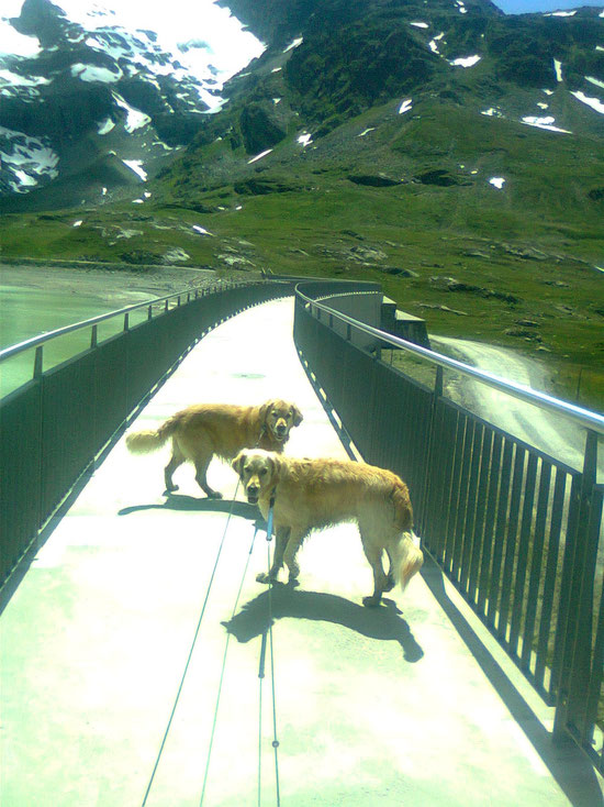 Über die Staumauer