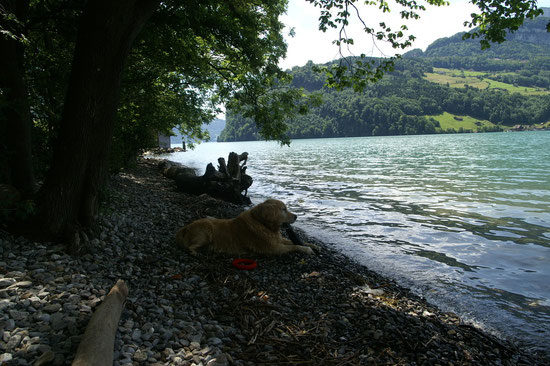 am See