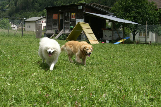 Arco & Nemo