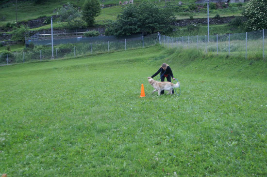 Durch den Ring springen