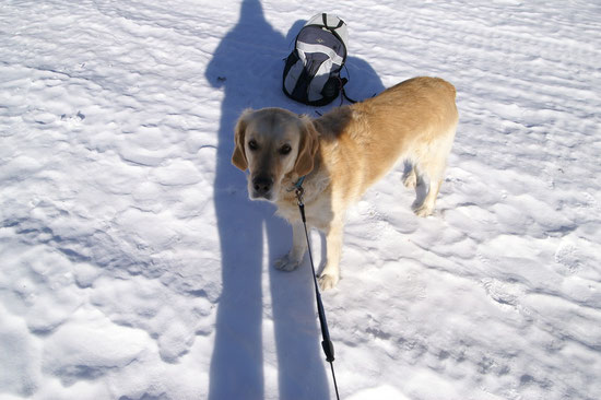 Schnee-Wandern mit Sunny
