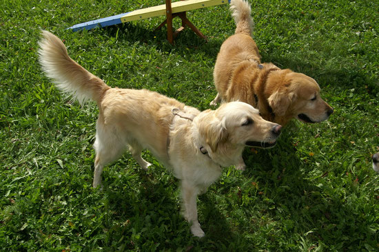 Arco & Luna (Jenny)