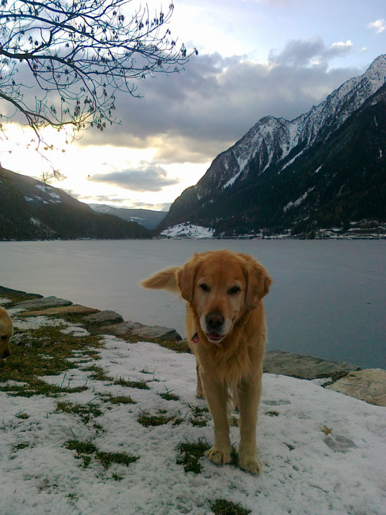 Arco im Winter am See...