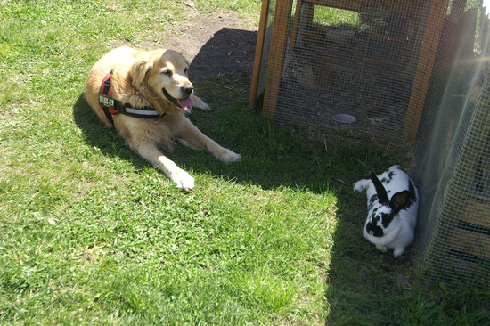Arco & Daisy zämä reläxä