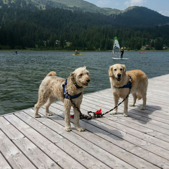 Am Heidsee