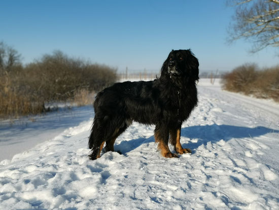 Mit "Herrle" beim Spielen...