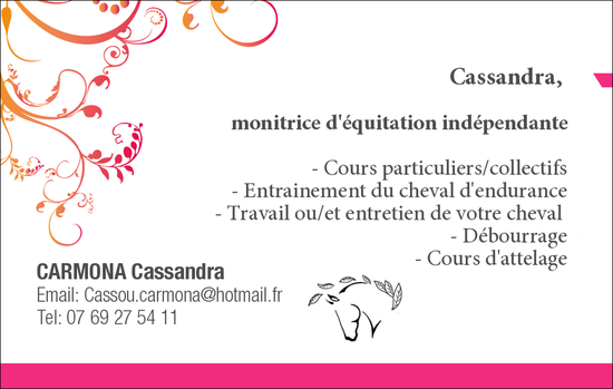 Site de cassandramonitricedequitation !