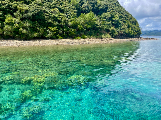 奄美大島の隣の加計呂麻(かけろま)島へ行っていました♡サンゴ礁の海でシュノーケリングも(^^)