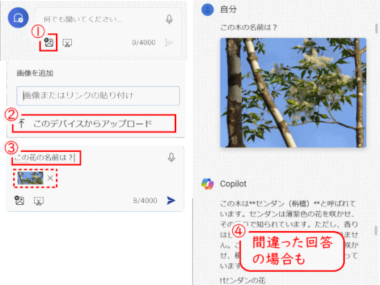 copilot14:画像検索で間違った回答も