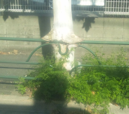 よく見て見て!!