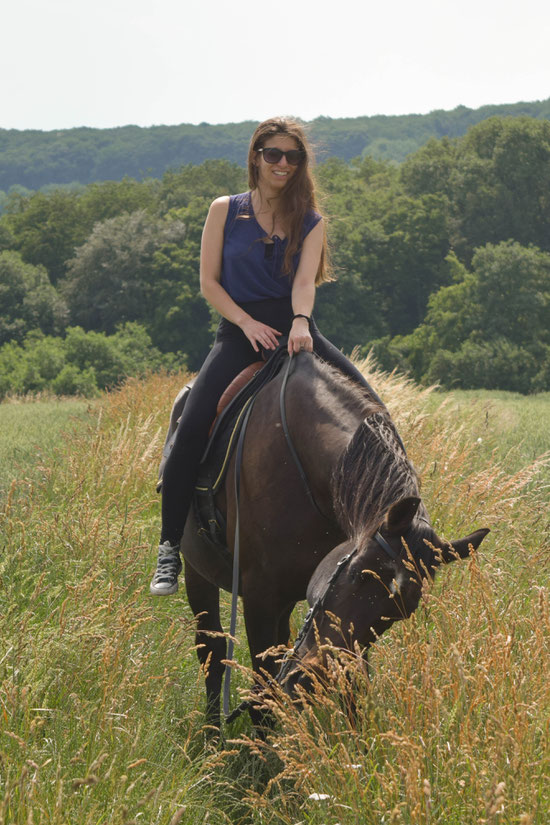 Horse & Summer, Carmen Schubert