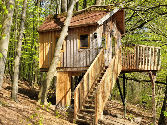 Ein Baumhaus im Wald mit zartem Grün an den Bäumen.