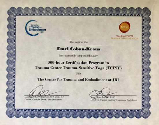 Zertifikat TCTSY Certificate TCTSY