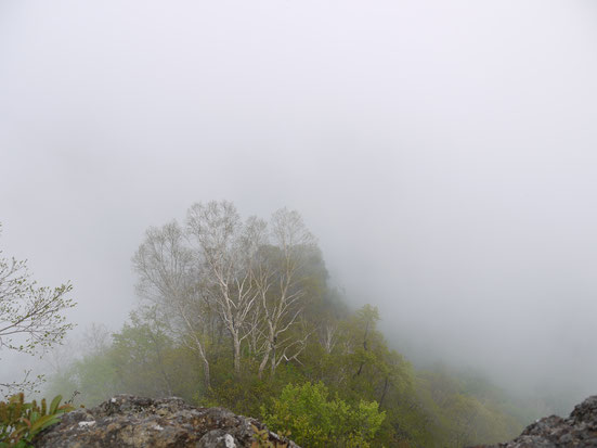 hiking mt togajushi