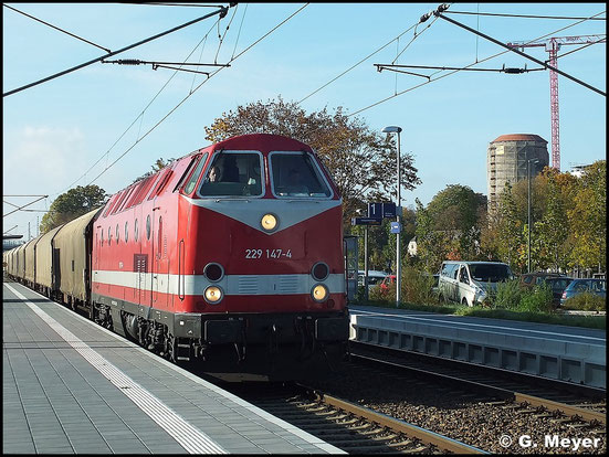 Seit kurzem fährt 229 147-4 für die Cargo Logistik Rail Service GmbH. Am 26. Oktober 2015 konnte sie am Hp Luth. Wittenberg Altstadt (Elbtor) mit Güterzug erlegt werden