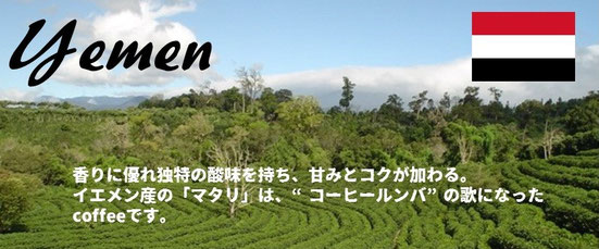 イエメン マタリNo-9 (モカ) - 珈琲焙煎 マイヨ工房 山梨県甲府市 イエメン マタリNo-9 (モカ) - 珈琲焙煎 マイヨ工房 山梨県甲府市