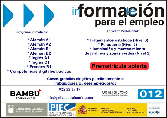 Cursos de idiomas gratuitos en Tenerife - Formación Bambú