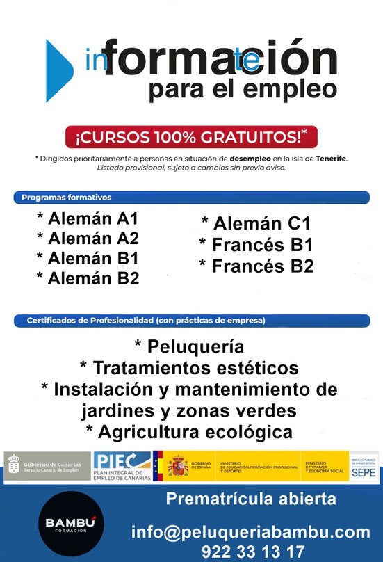 Cursos de idiomas gratuitos en Tenerife - Formación Bambú