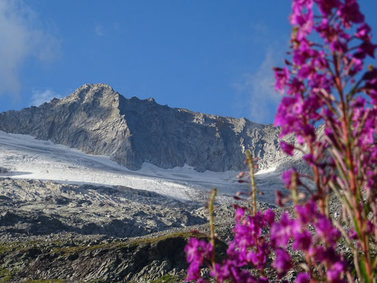 Hochalmspitze mit Bergführer, Tauernkönigin, Südpfeiler, Traumfänger, Detmolder Grat, Rudolstädter Weg, geführte tour, hochalmspitze with mountainguide, Giessener Hütte, Maltatal, maltavalley