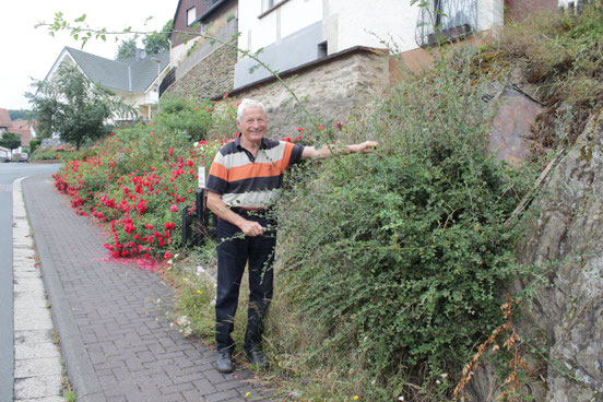 Karl Zwermann bei seiner Rosa Canina. Schon als Kind stand er an dieser Stelle in der Neuen Straße und hat die genügsame Rose bewundert. Foto: Konder