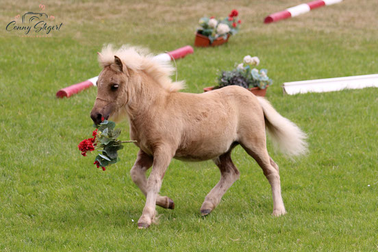 Unser Blumenmädchen - Galia aus dem Wendland 