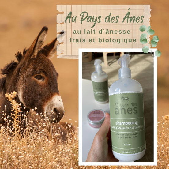 au pays des anes