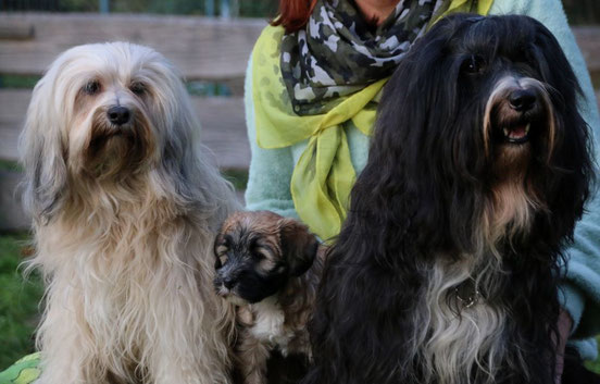 Fiona, Kah-ra und Cham-ba