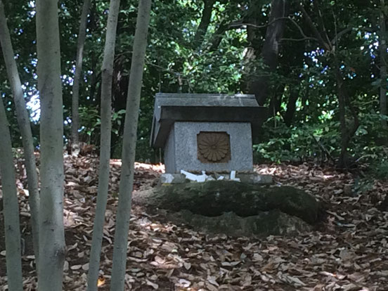 善根寺春日神社(筆者撮影)