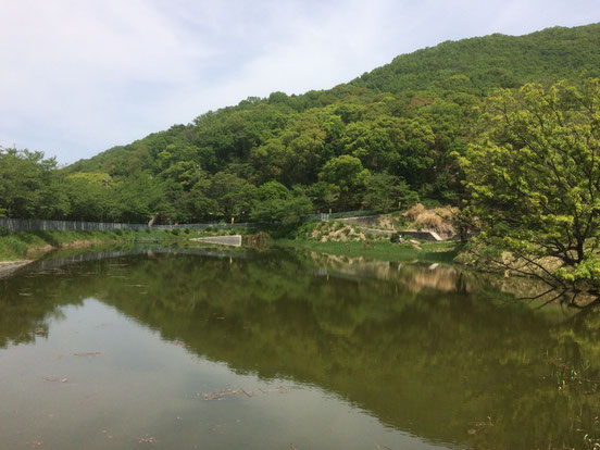 日下新池(筆者撮影)