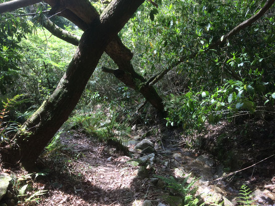 日下山直越の道(筆者撮影)