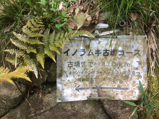 日下新池(筆者撮影)