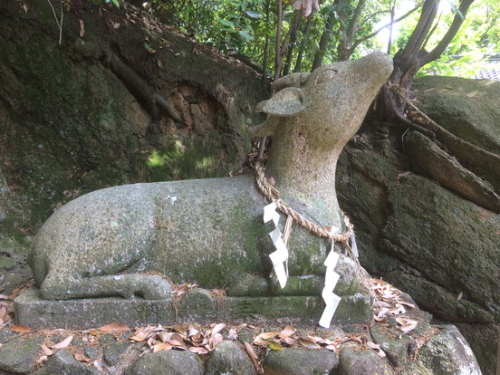 善根寺春日神社(筆者撮影)