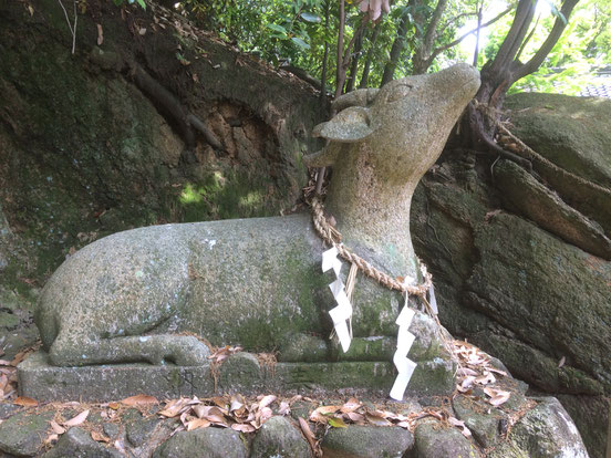 善根寺春日神社（筆者撮影）