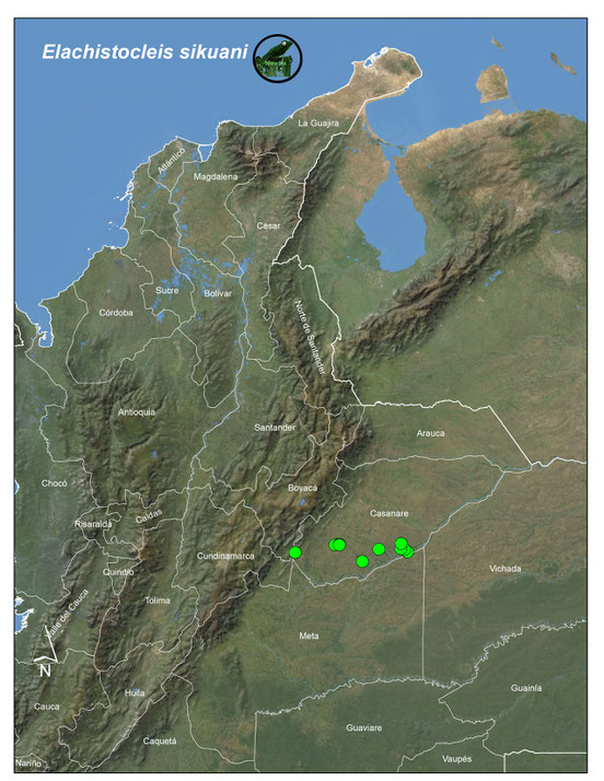 Elachistocleis sikuani, Distribución en Colombia