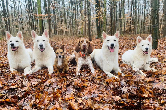 Karuna - Luigi - Emma - Enno - Milka - Nayeli