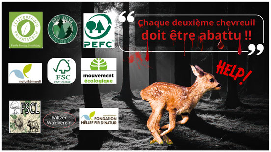 Opération extermination des chevreuils Une satire du Luxembourg Jungle. Le nouveau mot d’ordre : un chevreuil sur deux doit être abattu.