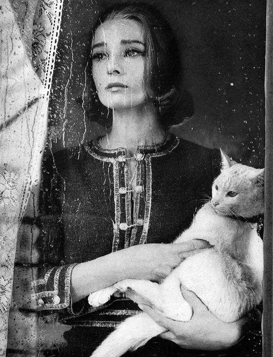 Ричард Аведон фотограф моды
