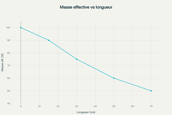 Variation de la masse effective en fonction de la longueur de l'outil