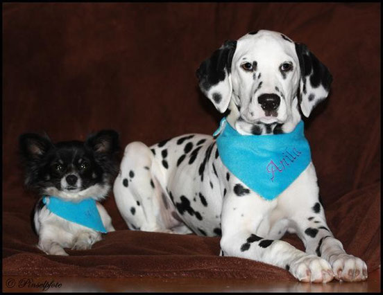 Anila & Abby von Clarissa Scheffler