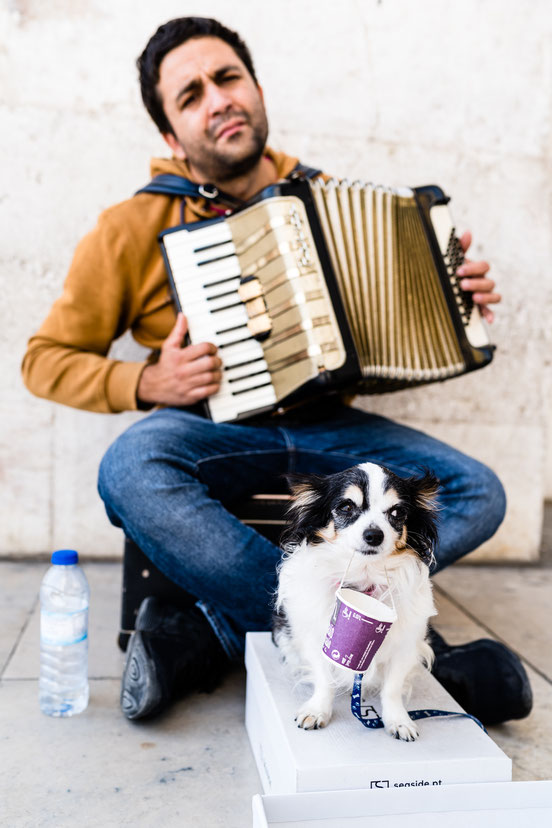 Street musician with his dog