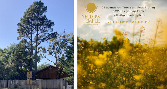 Yellow Temple à Lège Cap Ferret