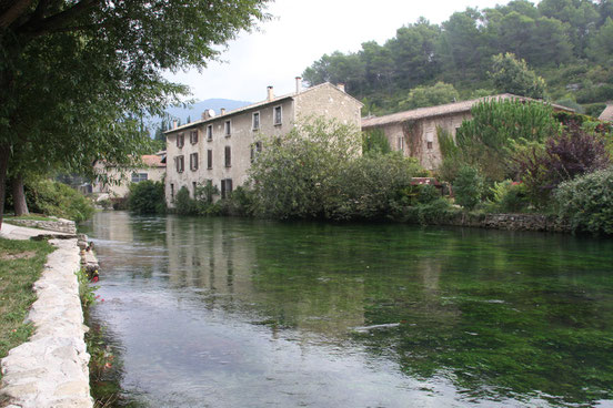 Bild: die Sorgue in Fontaine de Vaucluse