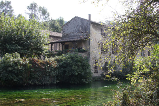 Bild:Sorgue in Fontaine de Vaucluse