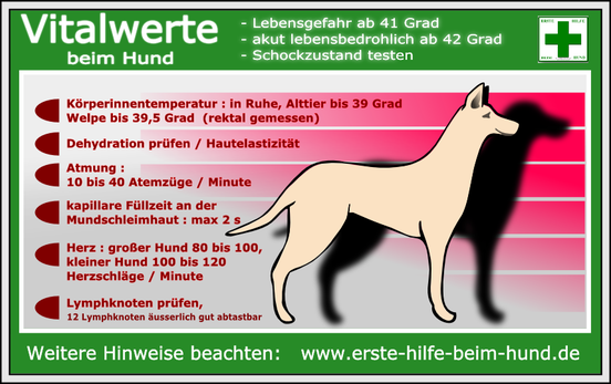 Bild: mit freundlicher Genehmigung von www.erste-hilfe-beim-hund.de