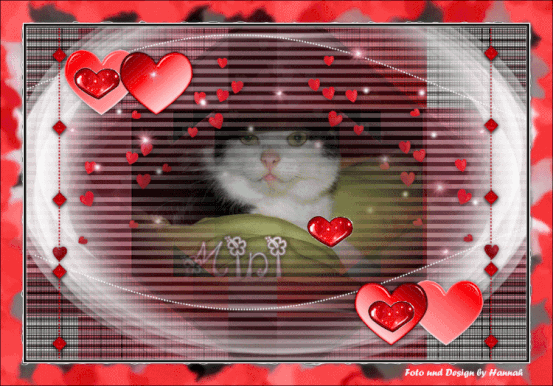 Gismo Gedenken An Ihn Und Erinnerungen An Eine Wunderbare Freundschaft Mariekulms Webseite Musst du darauf nicht hoffen. gismo gedenken an ihn und