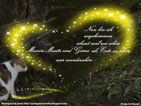 Gismo Gedenken An Ihn Und Erinnerungen An Eine Wunderbare Freundschaft Mariekulms Webseite Umarmung aus der serie the big bang theory. gismo gedenken an ihn und