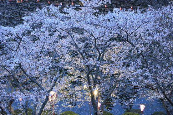 サンプル右の写真100mm1.3秒　1.3秒　F16