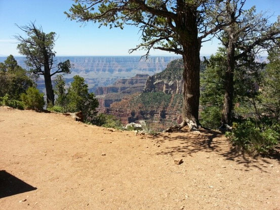 ...einfach nur schön!