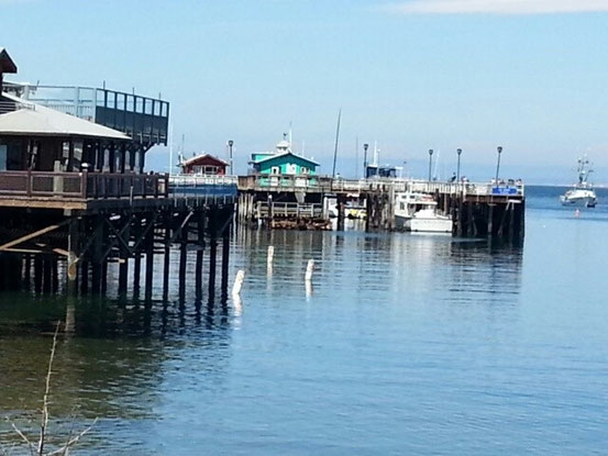 Der Old Fisherman Pier, an dem unser Whale Watching Boot liegt.