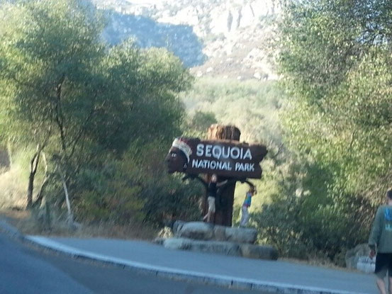 Ankunft im Sequoia N.P.